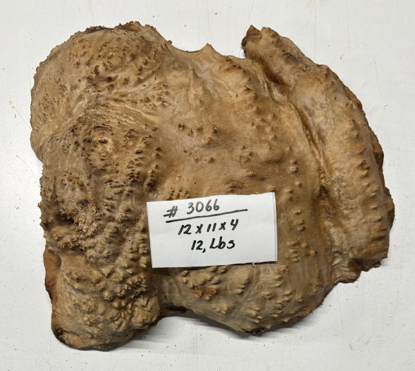 Australian Red Mallee Burl 12  x 11  x 4  12 Lbs |  #3066 Fashion