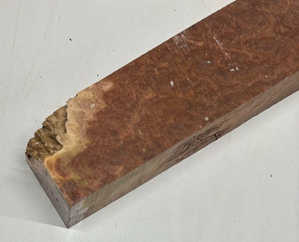 Australian Red Mallee Pepper Mill Blank 12  x 3  x 3  #503 Hot on Sale - Image 4